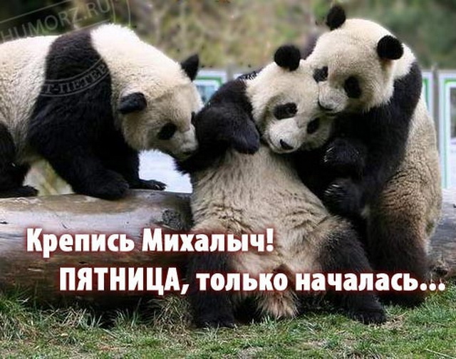 23664464-B5CF-49E3-988E-F40109525175.jpeg