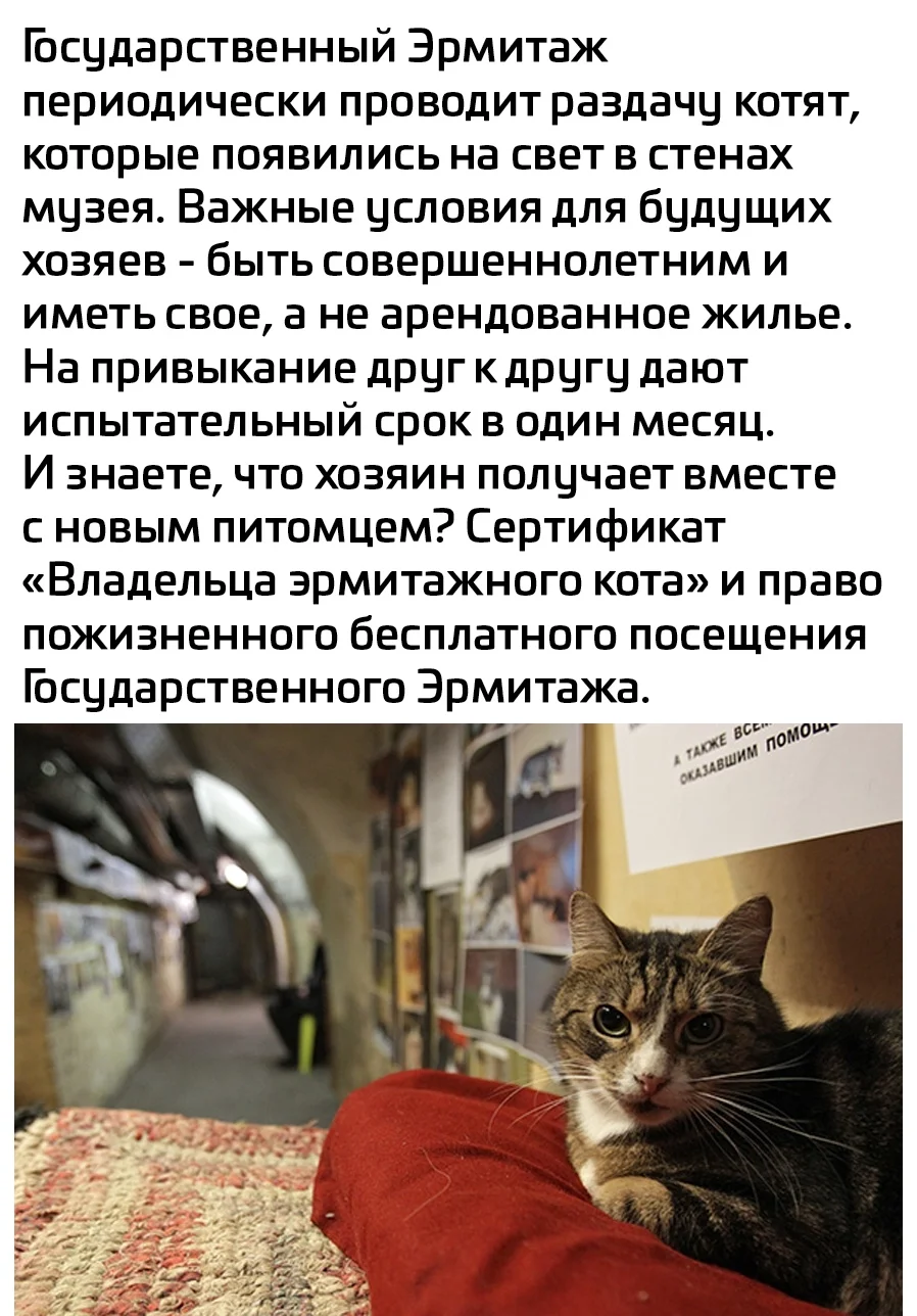 23HOuqTmAUE.webp