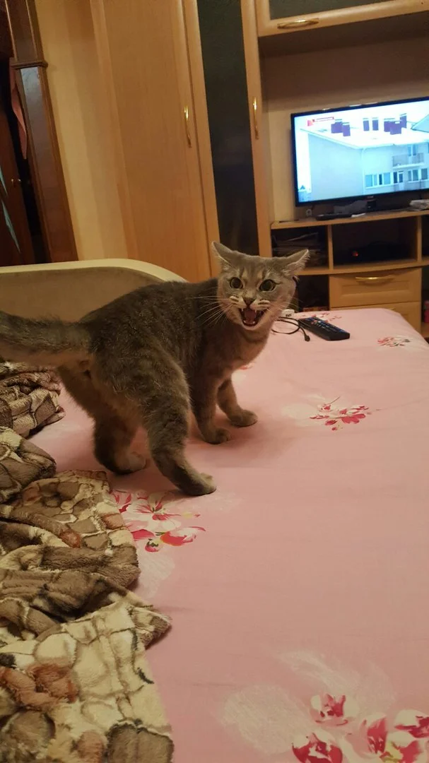 24.01. Стерлядь.webp