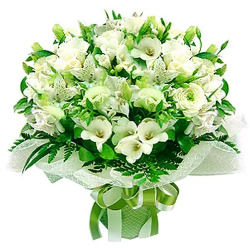 240510_bol1.webp