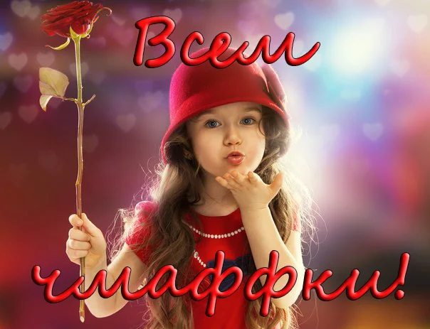 2406843295.webp