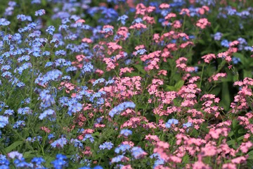 240_F_107660828_uB7QUVRTUNQDS7qiW91PtA6Mn6qxIB83 (1).webp