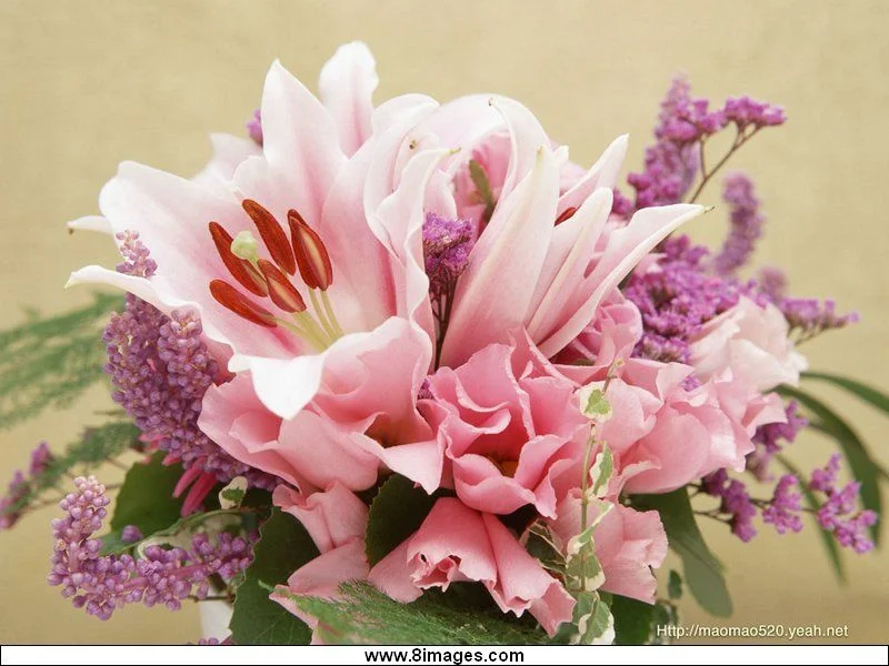 242.webp