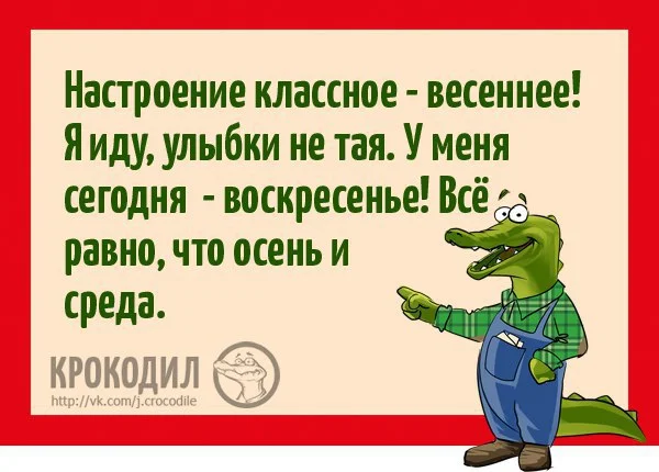2429743297.webp