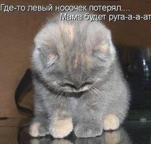 2455876-abce0dfcbb9cb5ac.webp