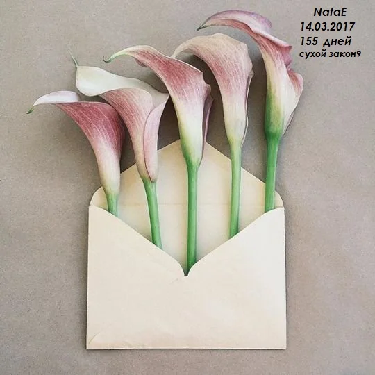 2497d68cda2c58afa5051e7a101b0815 - копия.webp