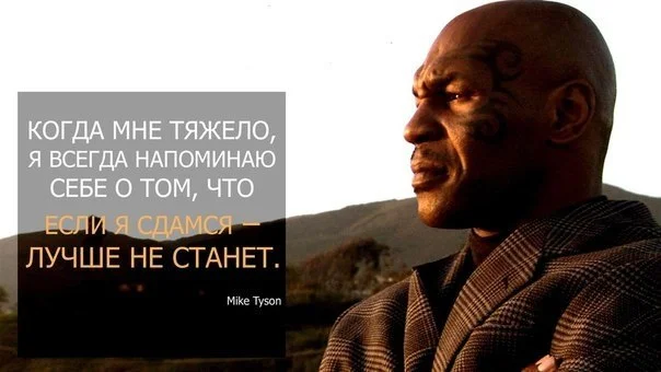 249912_800.webp