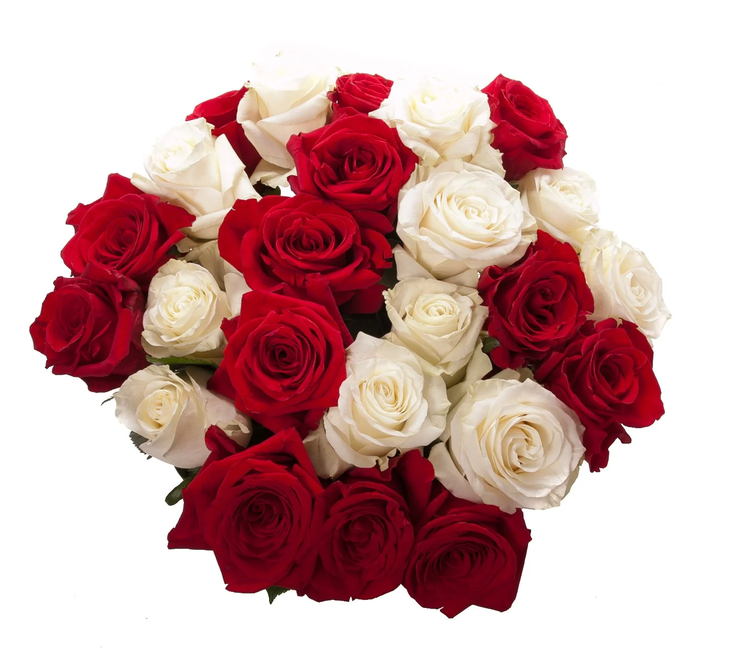24_roses_red_white.webp