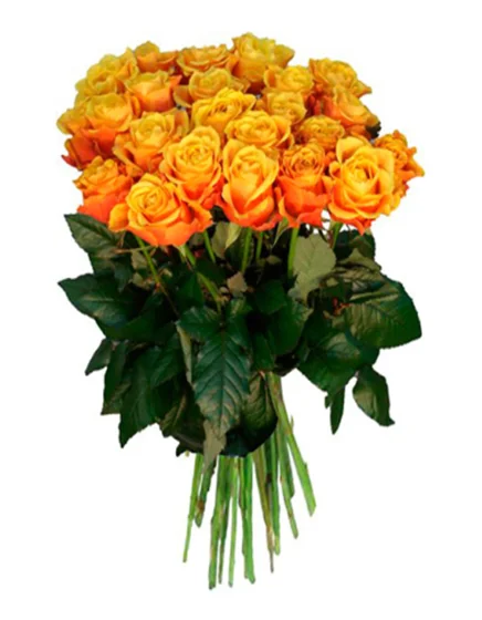 25 красно-желтых.webp