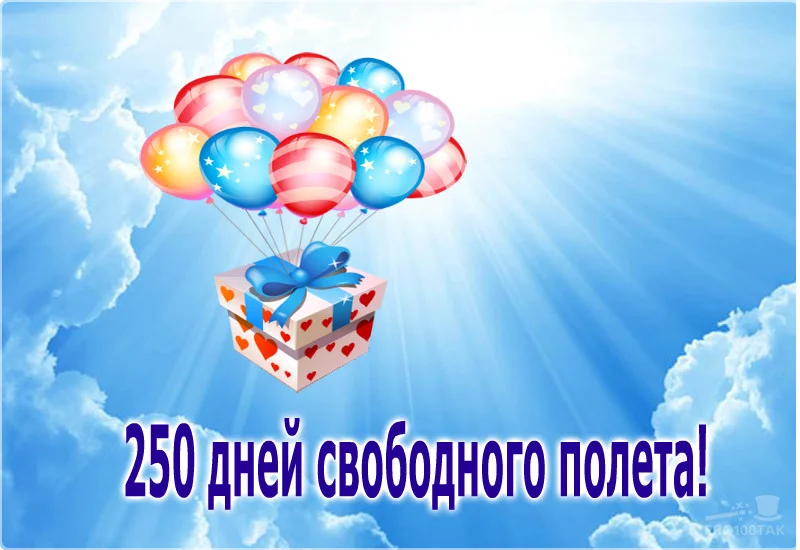 250 шарики.webp