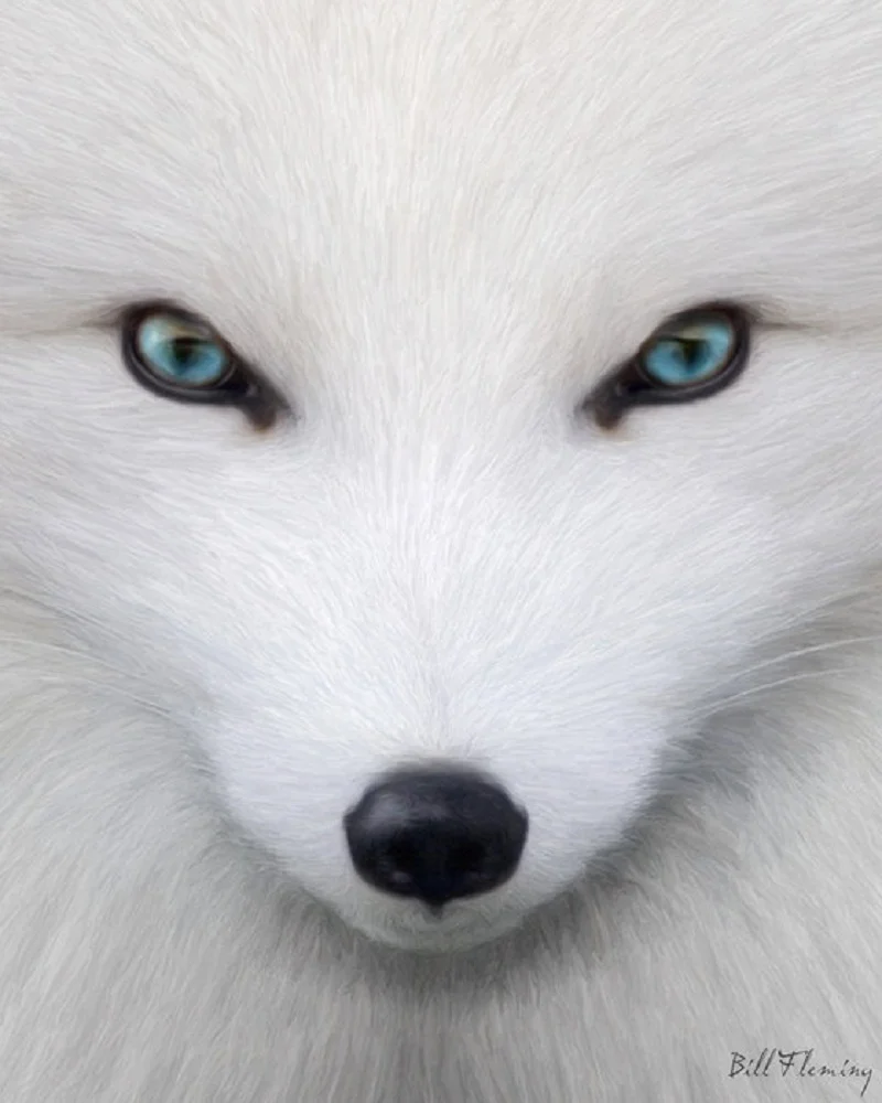 25292_original (2).webp