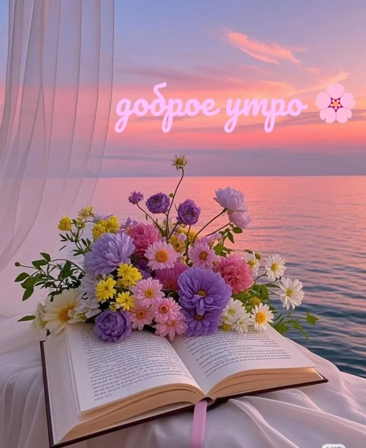 2532223644d8a971cf727f02ebebcc04.webp