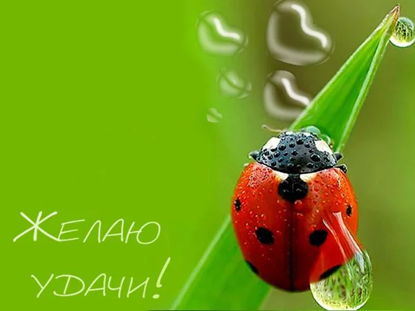 2537569.webp