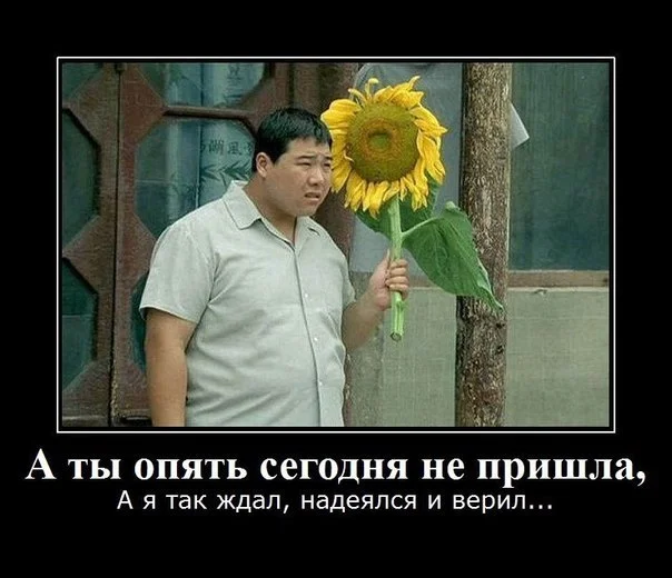 25378871_11ad9722493f2c395788f7ced38368a7_800.webp