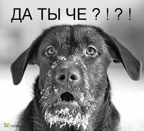 2538406763.webp