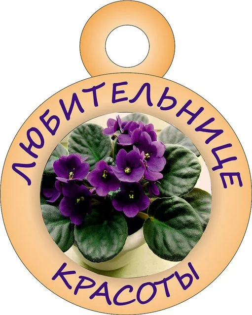 2538562.webp
