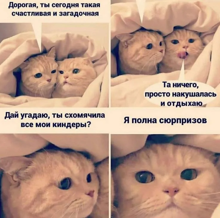 254fd37ef7ab747bf8cdfaf3e4a8769d[1].webp