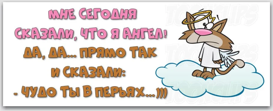 2561721506.webp