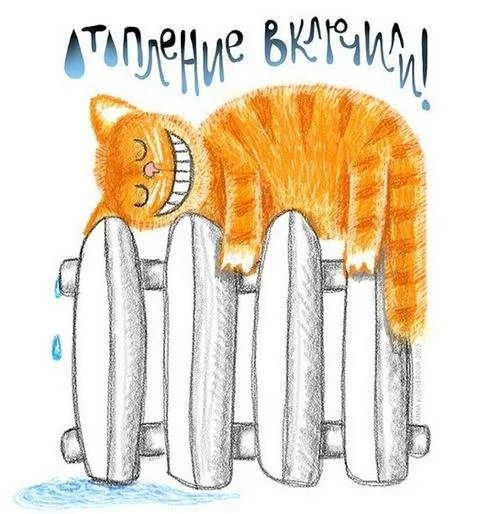 25703_original - kopia59ede164aa46c.webp