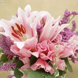25d86b6afe51e1e4b94c801fba32f6eb.webp