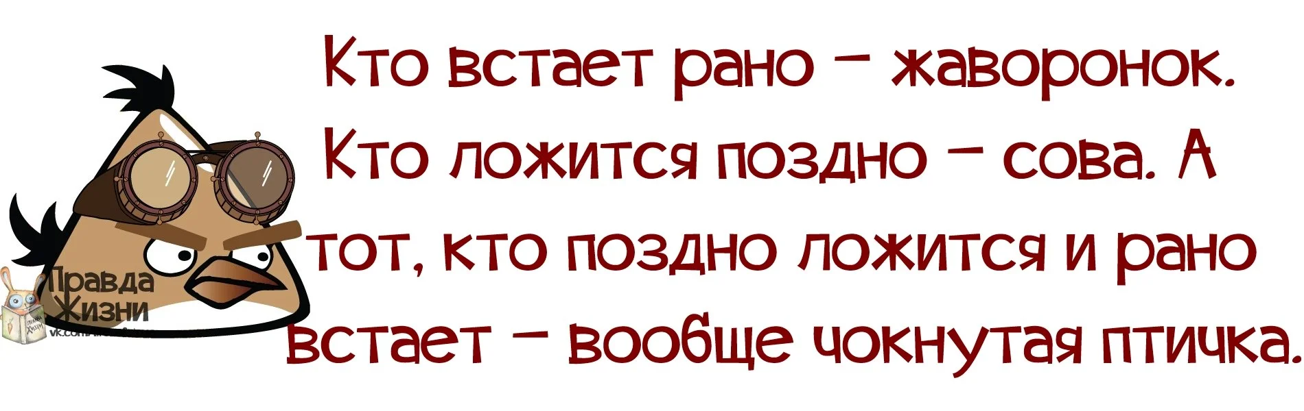 25vkECp01-Y.webp