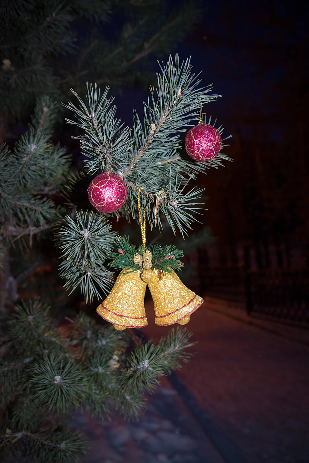 261.webp