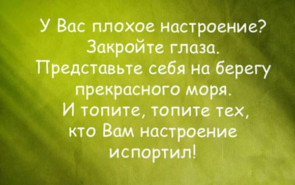 261949.webp