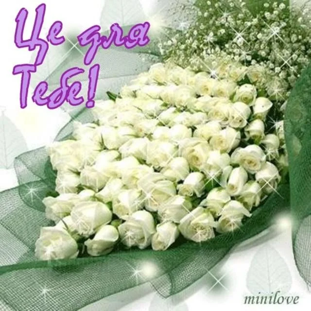 264431_m.webp