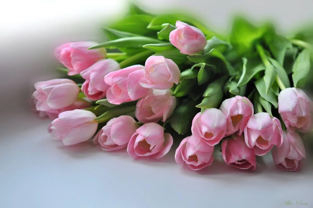 2670957.webp