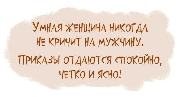26843096.webp