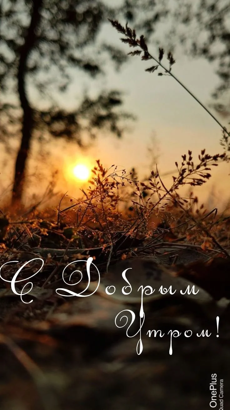 26cf655f7cec73065901ce2355f85cf5.webp