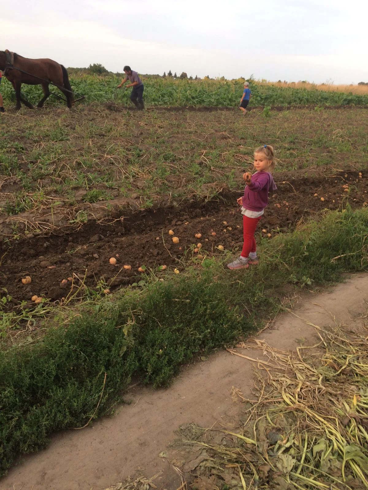 27 @Жень Шень.webp