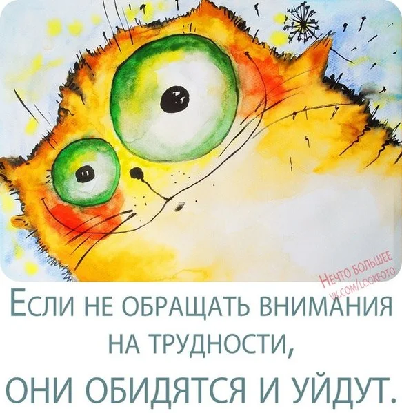 2701.webp