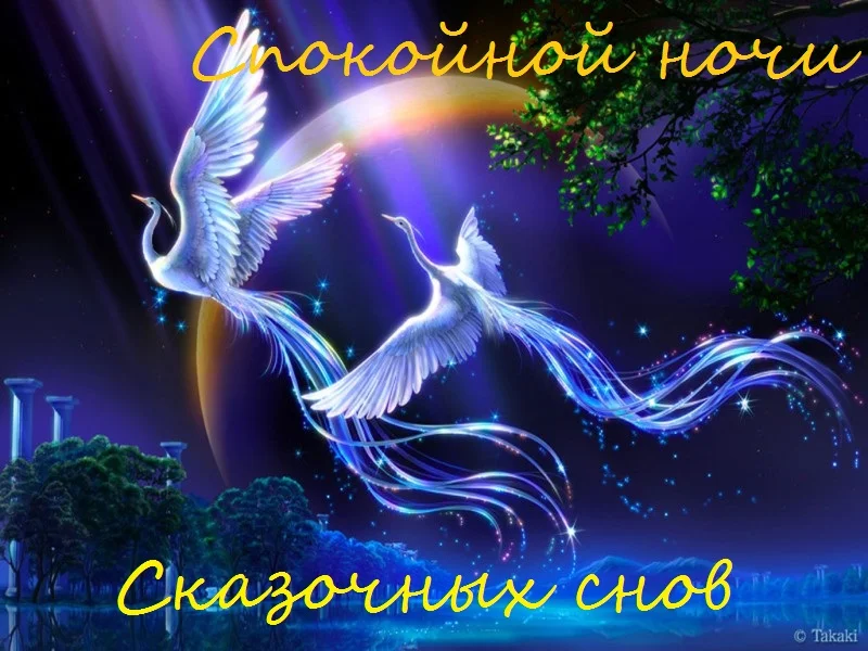 27012-37229-2.webp