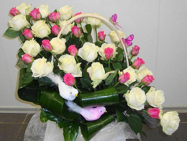 271638-cbad2-29532144-m750x740.webp