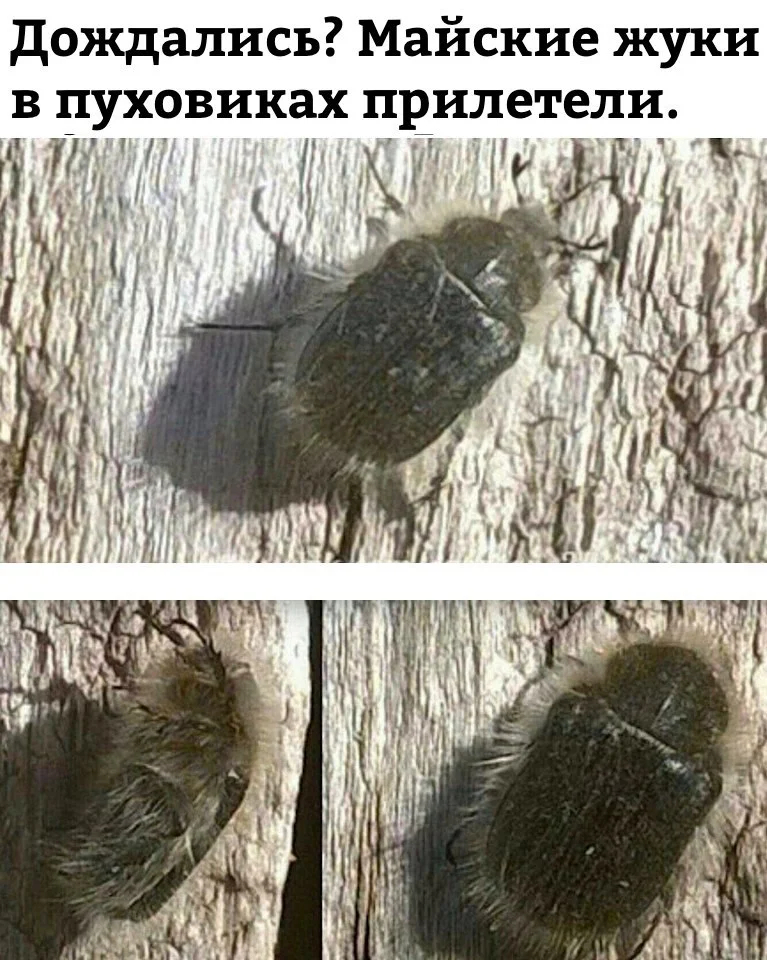 27xpFm6tpQY (1).webp