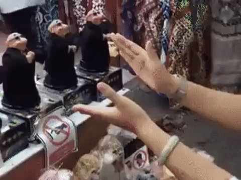 28.01.2017 - 1 (1).gif