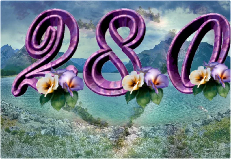 280 фиалки.webp