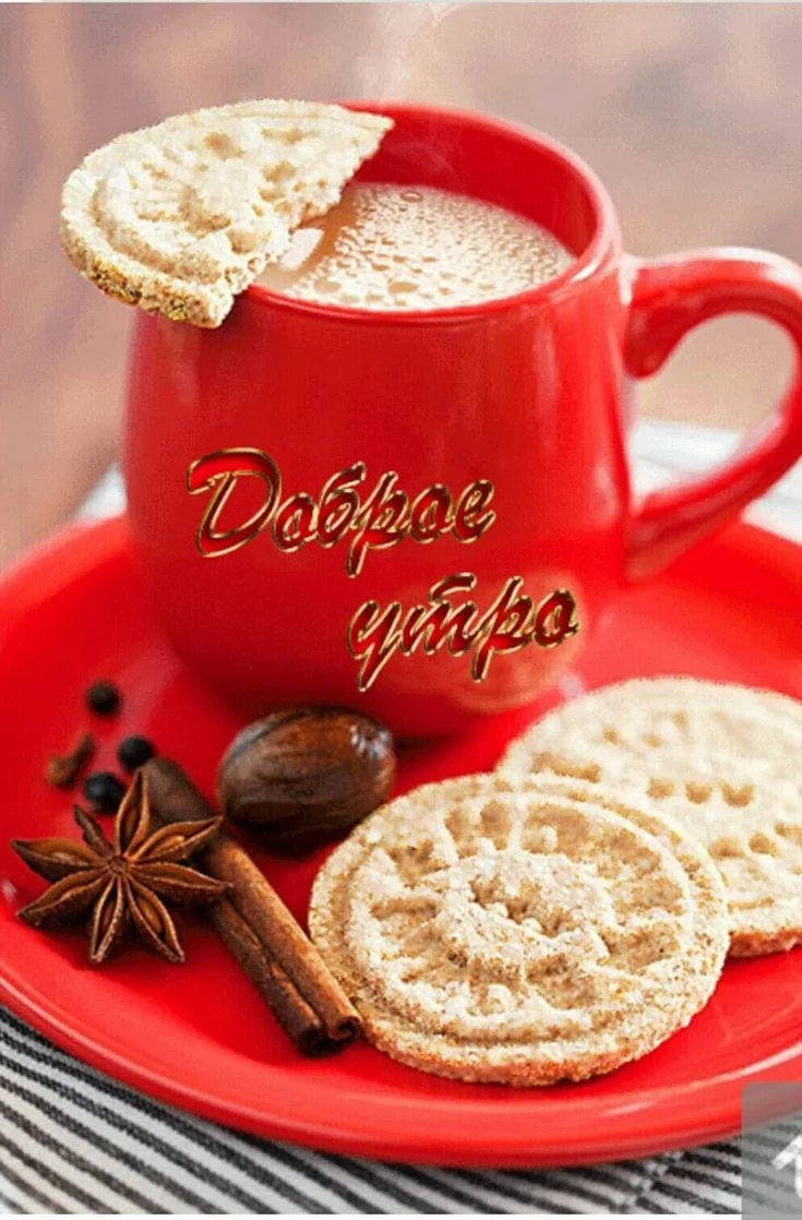 280c227a7a21d9470a1a24ed0a5102b3 (1).webp