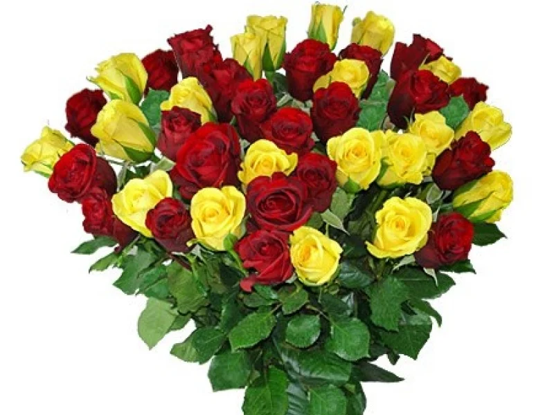 281big.webp