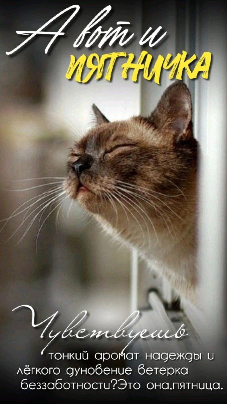 283f23d16b14a76f169bc9d5bac18215 (1).webp