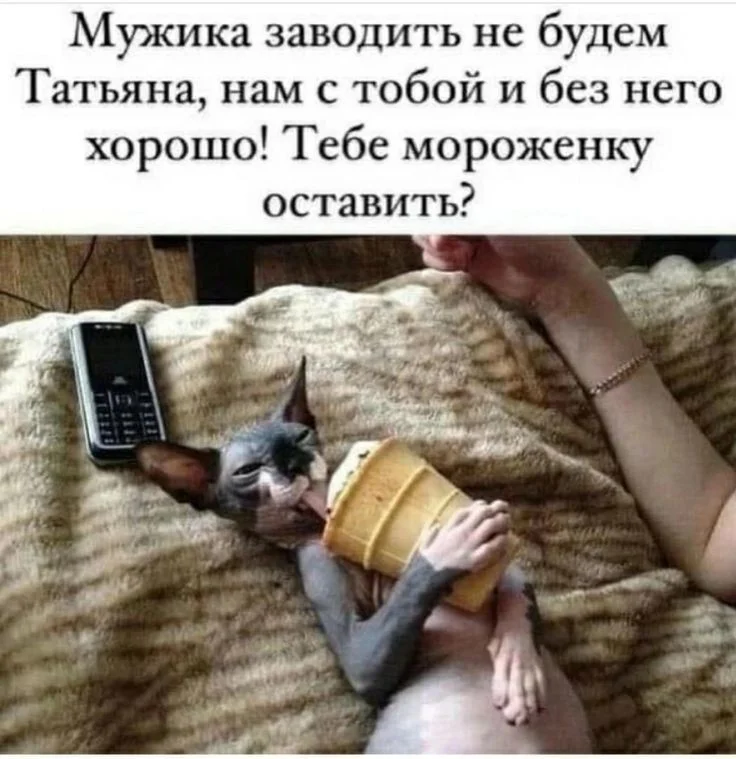 28d75fac93e3be999d86c2d4be479712 (1).webp