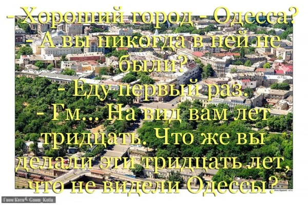 291336.webp