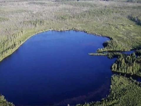 2922_big_38327b5917 (1).jpeg