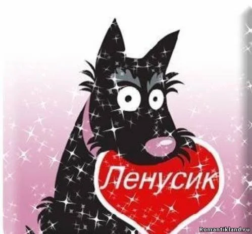 294065199.webp