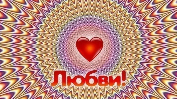 2941217_original (1).webp