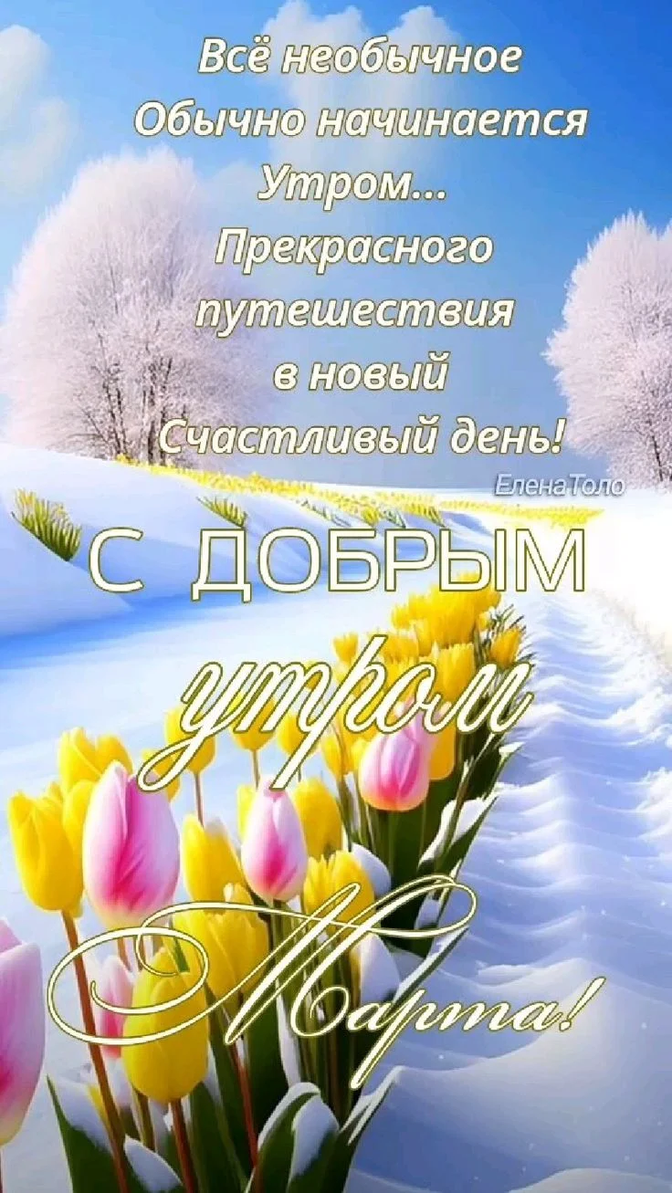 29456db7774a047560c00059ccb7f4e8 (2).webp