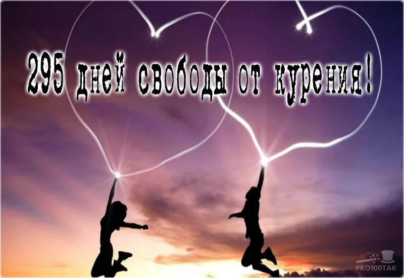 295 свобода.webp