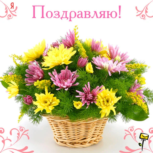 2950647_m.webp
