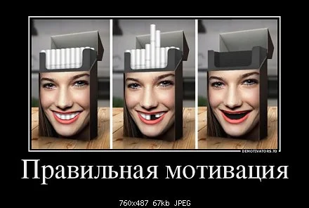 29813560_pravilnaya-motivatsiya.webp